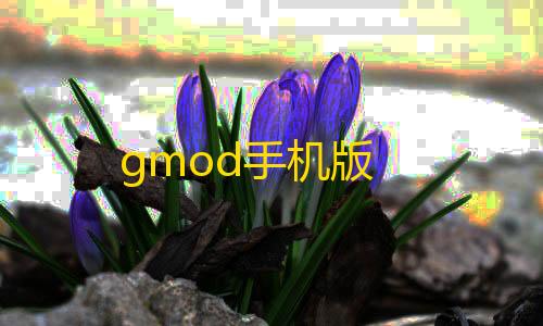 外挂价格暗区gmod手机版